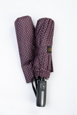 Жіноча парасолька-автомат